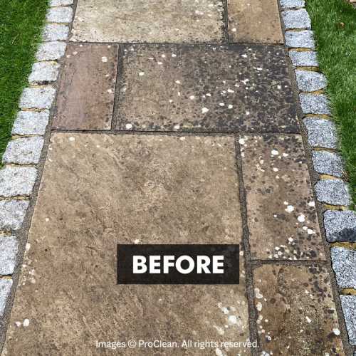 Before applying New Clean 60 Patio Cleaner